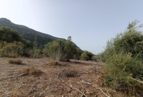El Bosque 20000&nbsp;m²