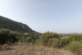 El Bosque 20000&nbsp;m²