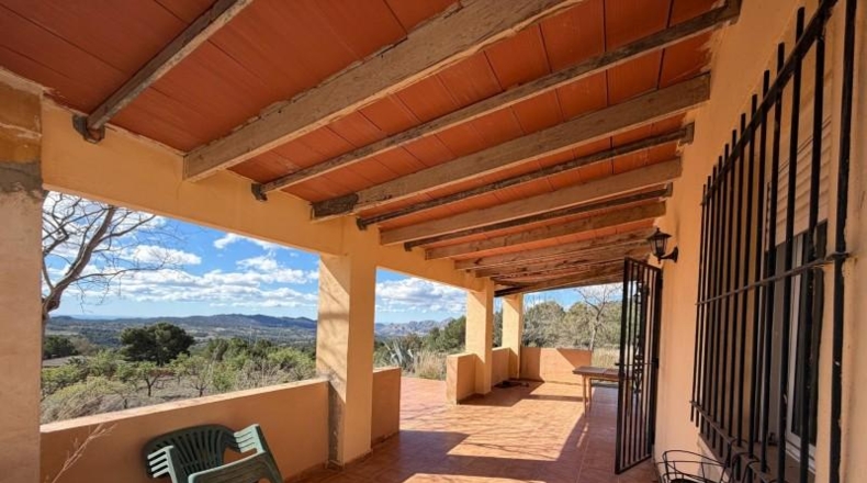 Alicante - Jijona - 20000m2