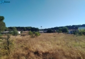 Casa amb terreny en venda a la España, Bonares, ref.: TR401331 foto
