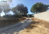 Casa amb terreny en venda a la España, Bonares, ref.: TR401331 foto