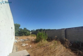Foto 14