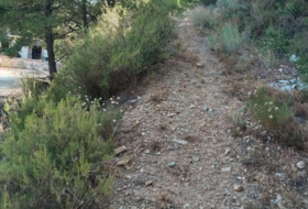 Foto 9