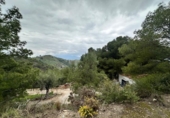 Detached villa with land for sale on España, Alozaina, ref: TR399050 photo