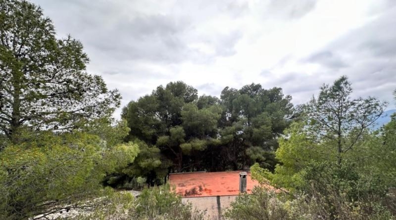 Málaga - Alozaina - 8729m2