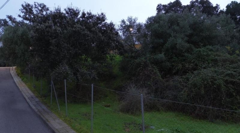 Sevilla - Las Pajanosas - 1662m2
