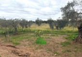 Xalet independent amb terreny en venda a la España, Montijo, ref.: TR400056 foto
