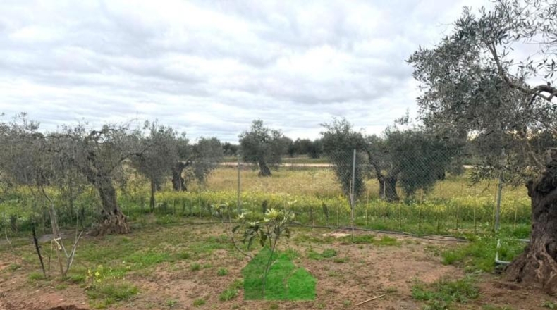 Badajoz - Montijo - 2890m2