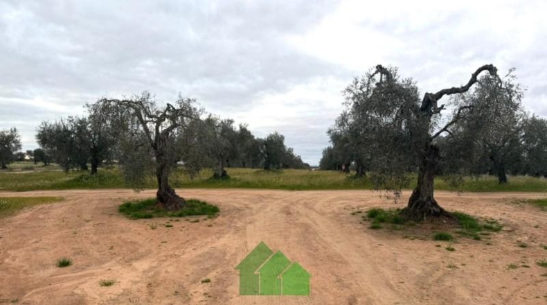 Badajoz - Montijo - 2890m2