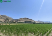 Terreno no urbanizable en venta en la España, Atarfe, ref: TR315891 foto