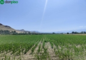 Terreno no urbanizable en venta en la España, Atarfe, ref: TR315891 foto