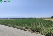 Terreno no urbanizable en venta en la España, Atarfe, ref: TR315891 foto
