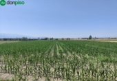 Terreno no urbanizable en venta en la España, Atarfe, ref: TR315891 foto