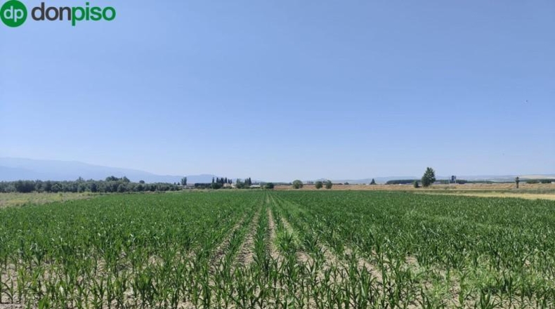 Granada - Atarfe - 22010m2
