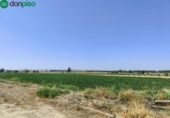 Terreno no urbanizable en venta en la España, Atarfe, ref: TR315891 foto