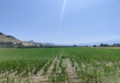 Terreno no urbanizable en venta en la España, Atarfe, ref: TR312331 foto