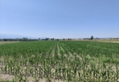 Terreno no urbanizable en venta en la España, Atarfe, ref: TR312331 foto