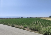 Terreno no urbanizable en venta en la España, Atarfe, ref: TR312331 foto