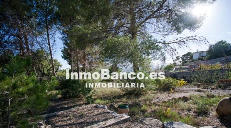 Valencia - Torrente - 1053m2