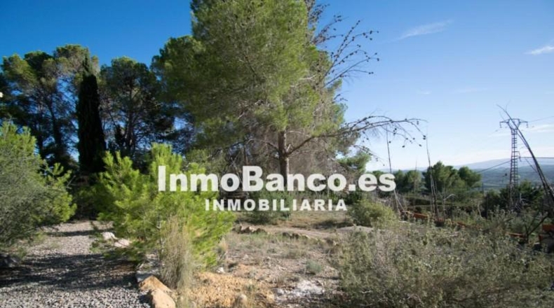 Valencia - Torrente - 1053m2