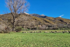 Foto 6