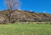 Terreny no urbanitzable en venda a la España, Castilló de Sos, ref.: TR320815 foto