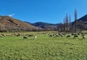 Terreny no urbanitzable en venda a la España, Castilló de Sos, ref.: TR320815 foto