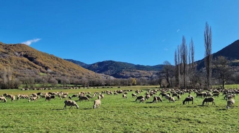 Huesca - Кастехон-де-Сос - 16040m2