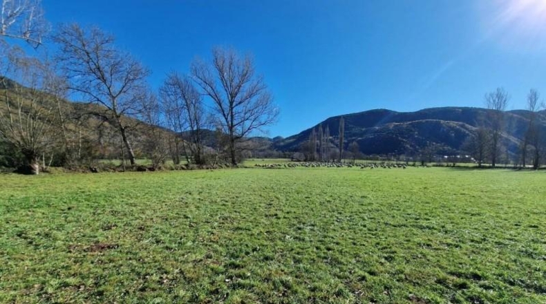 Huesca - Кастехон-де-Сос - 16040m2