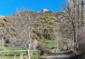 Terreny no urbanitzable en venda a la España, Castilló de Sos, ref.: TR320815 foto