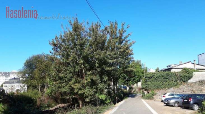 Lugo - Lugo - 1653m2