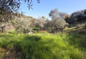 Chalet independiente con terreno en venta en la España, Alcaracejos, ref: TR286671 foto