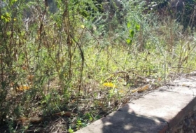 Foto 8