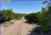 Chalet independiente con terreno en venta en la España, Abanilla, ref: TR279900 foto