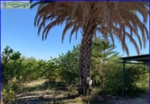Chalet independiente con terreno en venta en la España, Abanilla, ref: TR279900 foto