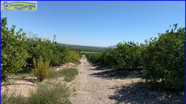 Murcia - Abanilla - 18447m2