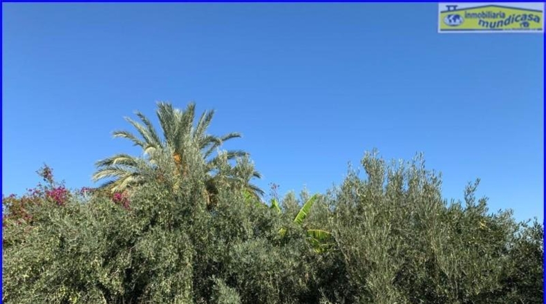 Murcia - Abanilla - 18447m2