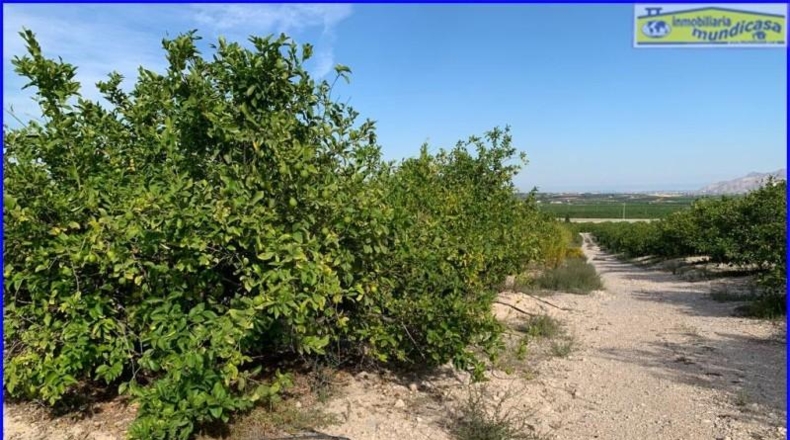 Murcia - Abanilla - 18447m2