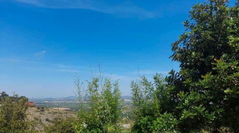 València - Chiva - 1095m2