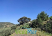 Terreno no urbanizable en venta en la España, Almuñécar, ref: TR119210 foto