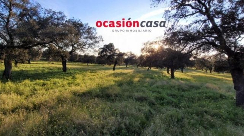 Córdoba - Pozoblanco - 67048m2
