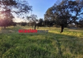 Xalet independent amb terreny en venda a la España, Pozoblanco, ref.: TR297188 foto