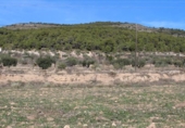 Terreny no urbanitzable en venda a la España, Ibi, ref.: TR120516 foto