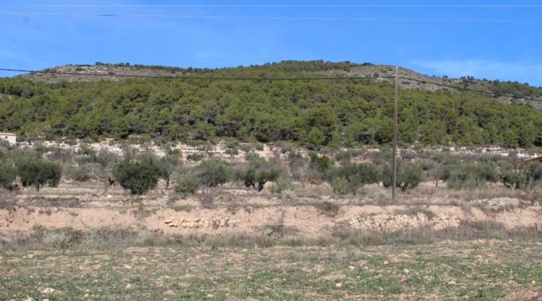 Alicante - Ibi - 15000m2