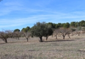 Terreny no urbanitzable en venda a la España, Ibi, ref.: TR120516 foto