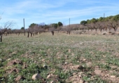 Terreny no urbanitzable en venda a la España, Ibi, ref.: TR120516 foto