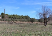 Terreny no urbanitzable en venda a la España, Ibi, ref.: TR120516 foto