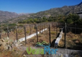 Terreno no urbanizable en venta en la España, Jete, ref: TR397831 foto