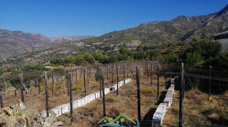 Caceres - Jerte - 7000m2