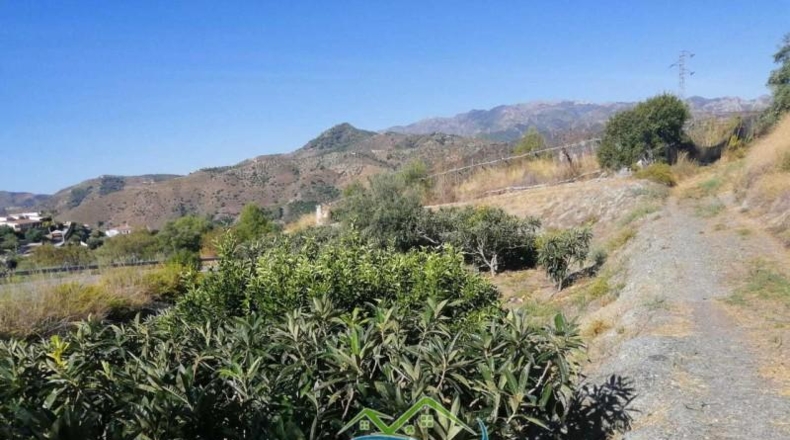Caceres - Jerte - 7000m2